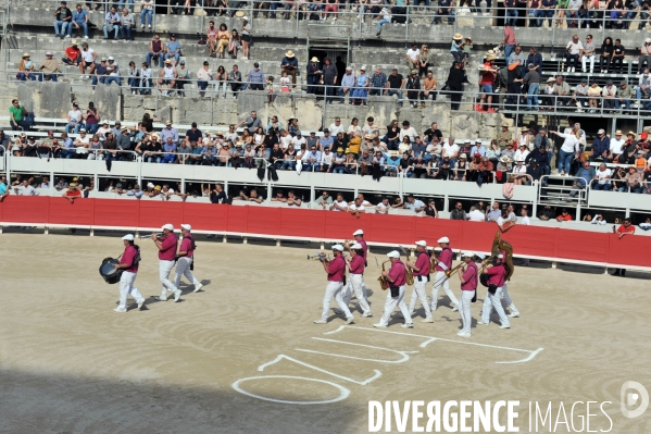 La course camarguaise