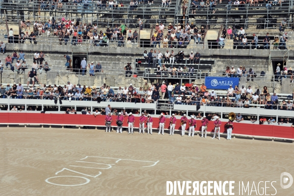 La course camarguaise