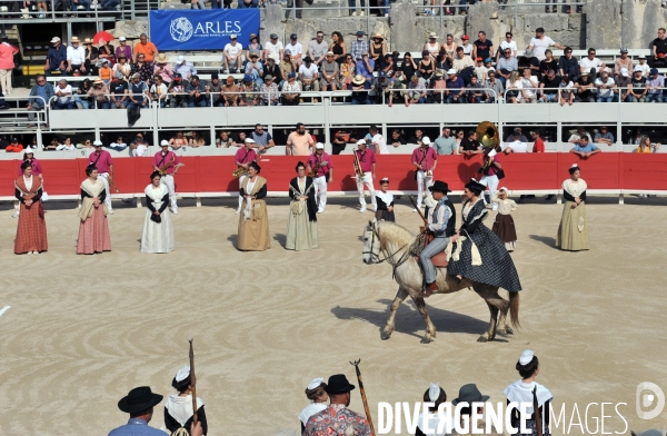 La course camarguaise