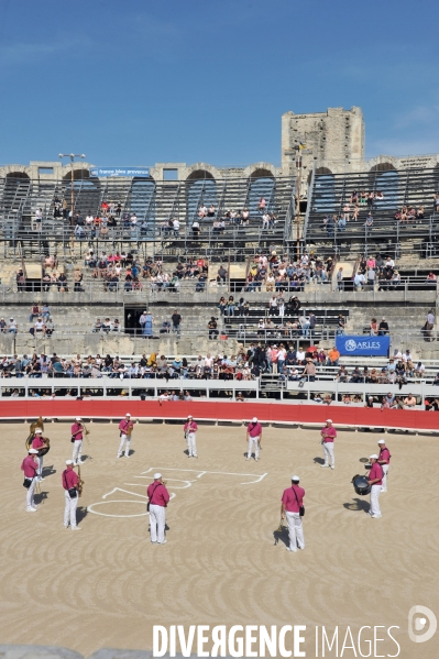 La course camarguaise