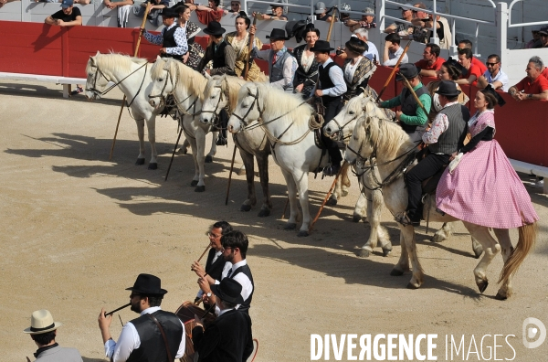 La course camarguaise