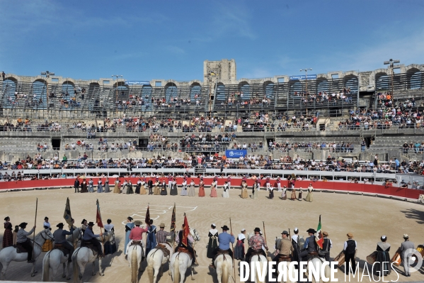 La course camarguaise