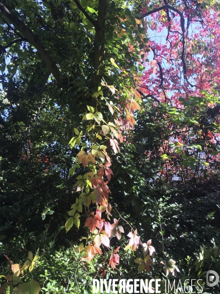 Le printemps dans un parc parisien