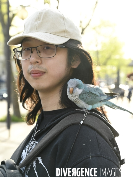 Animal de compagnie, pet, les oiseaux et leur humain.