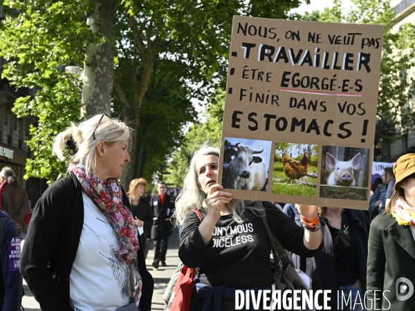 Journée de manifestation du 1er mai 2022 à Paris.