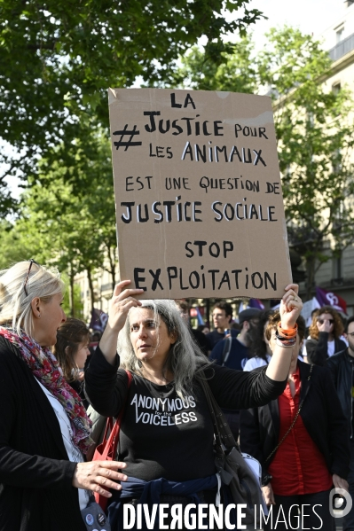 Journée de manifestation du 1er mai 2022 à Paris.