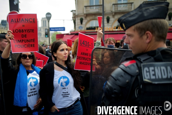 Rassemblement du collectif Urgence notre police assassine