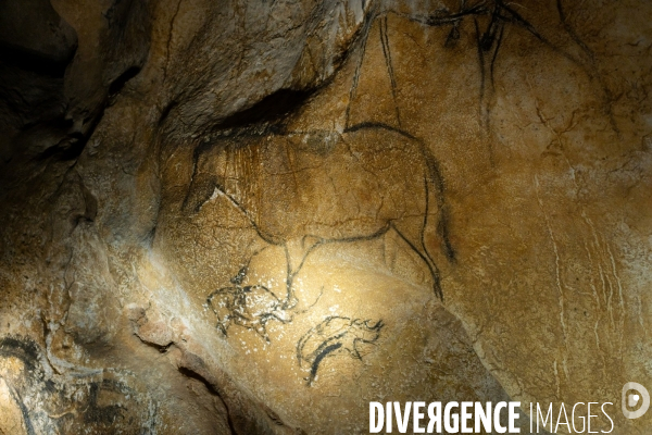 La grotte Chauvet 2