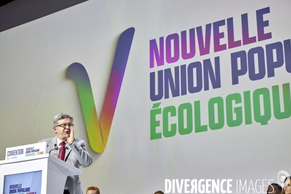 Convention Nouvelle Union Populaire Ecologique et  Sociale