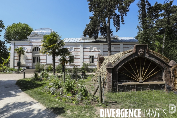 Jardin d agronomie tropicale  a paris