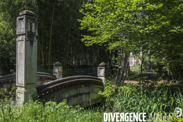 Jardin d agronomie tropicale  a paris