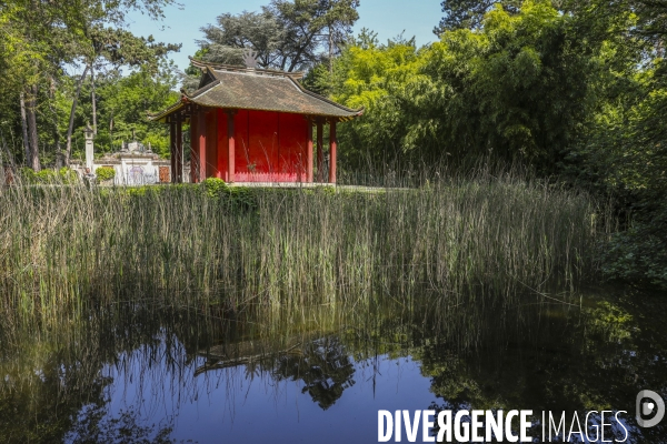 Jardin d agronomie tropicale  a paris