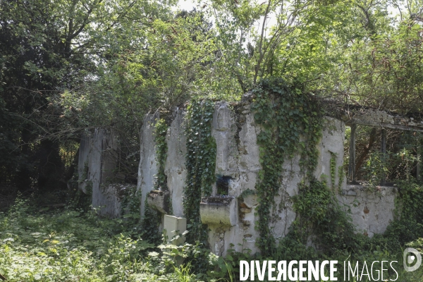 Jardin d agronomie tropicale  a paris