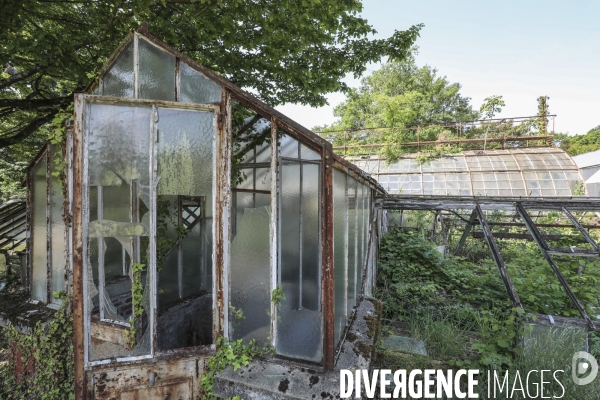 Jardin d agronomie tropicale  a paris