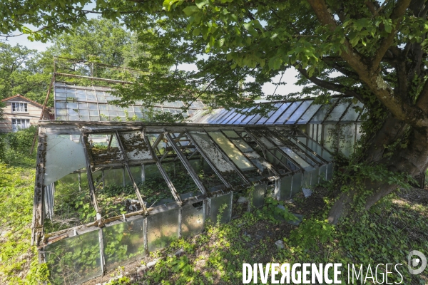Jardin d agronomie tropicale  a paris