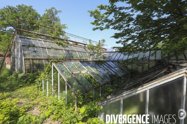 Jardin d agronomie tropicale  a paris