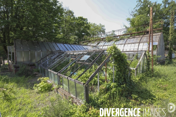 Jardin d agronomie tropicale  a paris