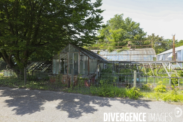 Jardin d agronomie tropicale  a paris