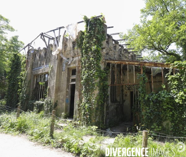 Jardin d agronomie tropicale  a paris