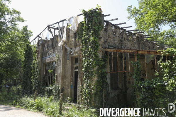 Jardin d agronomie tropicale  a paris