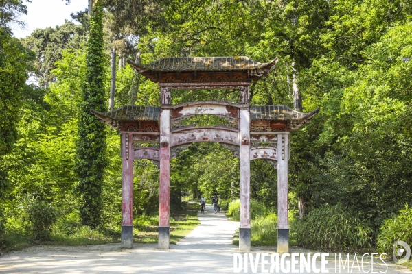 Jardin d agronomie tropicale  a paris