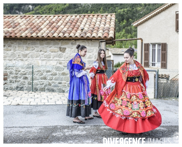 Le long de la Transbassealpine Digne Nice ( le bois et autres racontards )