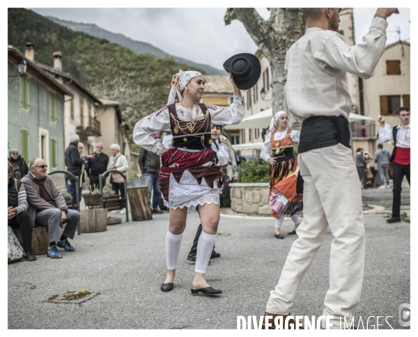 Le long de la Transbassealpine Digne Nice ( le bois et autres racontards )