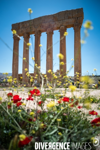 Portfolio Beyrouth LIBAN