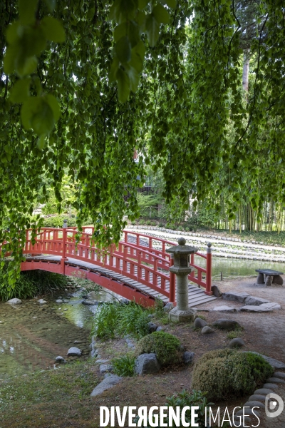 Le nouveau Musée départemental Albert-Kahn, côté photo, côté jardin.