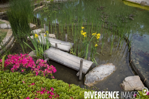 Le nouveau Musée départemental Albert-Kahn, côté photo, côté jardin.