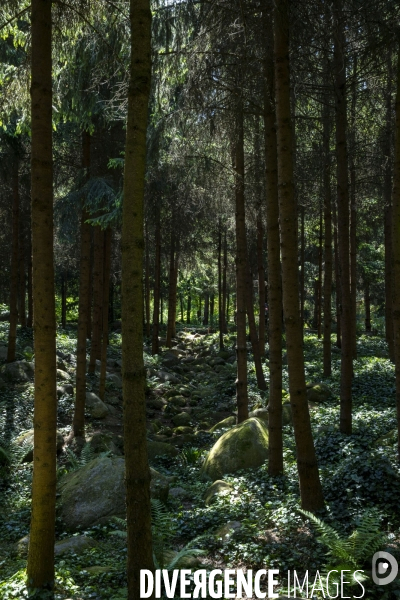 Le nouveau Musée départemental Albert-Kahn, côté photo, côté jardin.