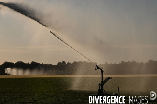 Sécheresse- Arrosage des cultures en Beauce . Avec des températures supérieures aux normales de saison, les argriculteurs sont contraints d arroser les cultures plutôt