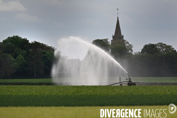 Sécheresse- Arrosage des cultures en Beauce . Avec des températures supérieures aux normales de saison, les argriculteurs sont contraints d arroser les cultures plutôt