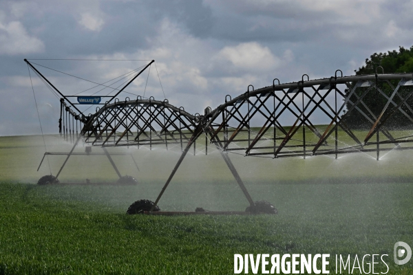 Sécheresse- Arrosage des cultures en Beauce . Avec des températures supérieures aux normales de saison, les argriculteurs sont contraints d arroser les cultures plutôt