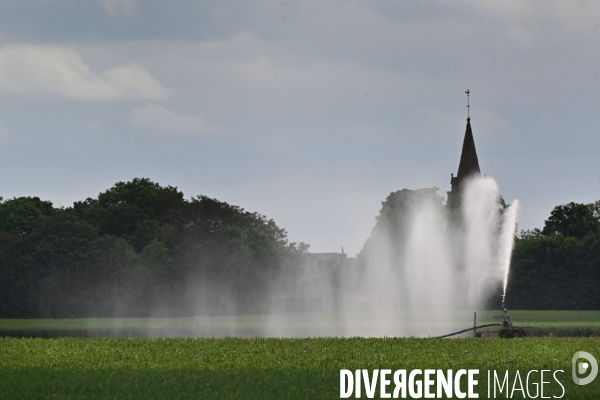 Sécheresse- Arrosage des cultures en Beauce . Avec des températures supérieures aux normales de saison, les argriculteurs sont contraints d arroser les cultures plutôt