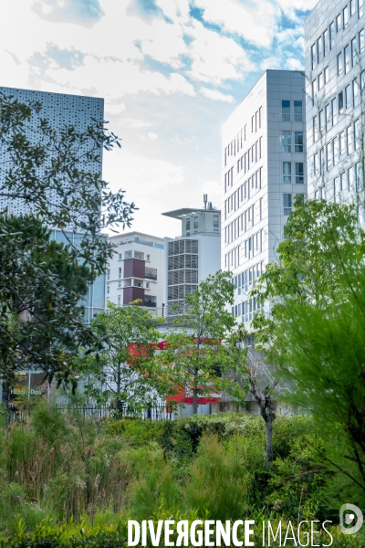 La joliette quartier en muatation