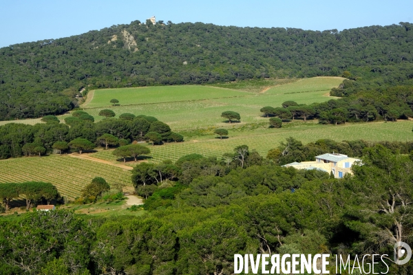 La villa Carmignac sur l  ile de Porquerolles