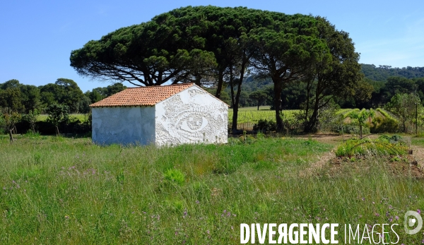 La villa Carmignac sur l  ile de Porquerolles