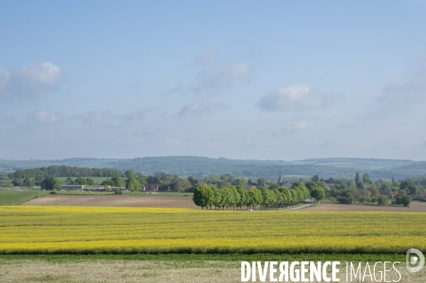 L épée de Damoclès deVincent Verschuere