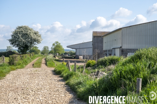 L épée de Damoclès deVincent Verschuere