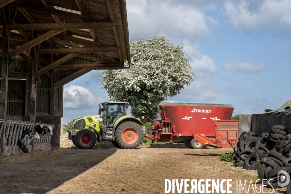 L épée de Damoclès deVincent Verschuere