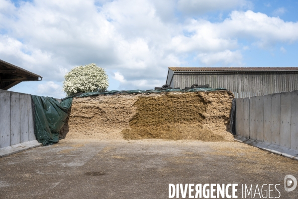 L épée de Damoclès deVincent Verschuere