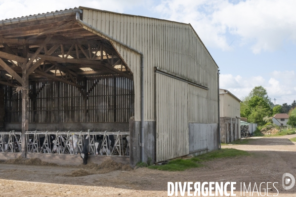 L épée de Damoclès deVincent Verschuere