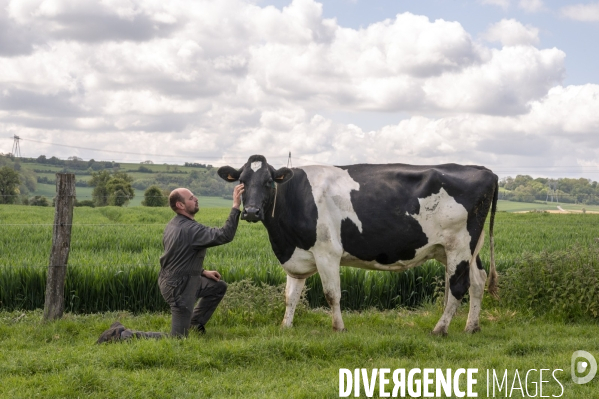 L épée de Damoclès deVincent Verschuere