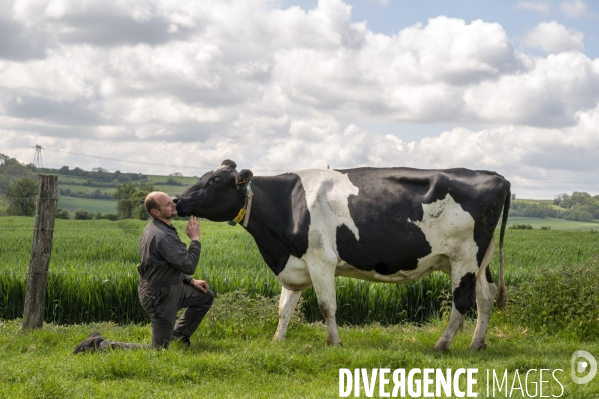 L épée de Damoclès deVincent Verschuere