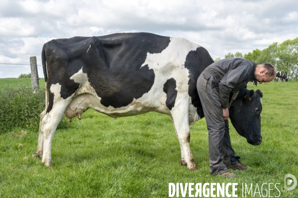 L épée de Damoclès deVincent Verschuere