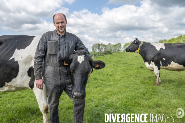 L épée de Damoclès deVincent Verschuere