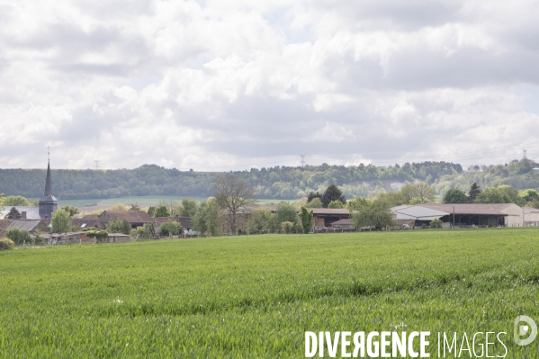 L épée de Damoclès deVincent Verschuere