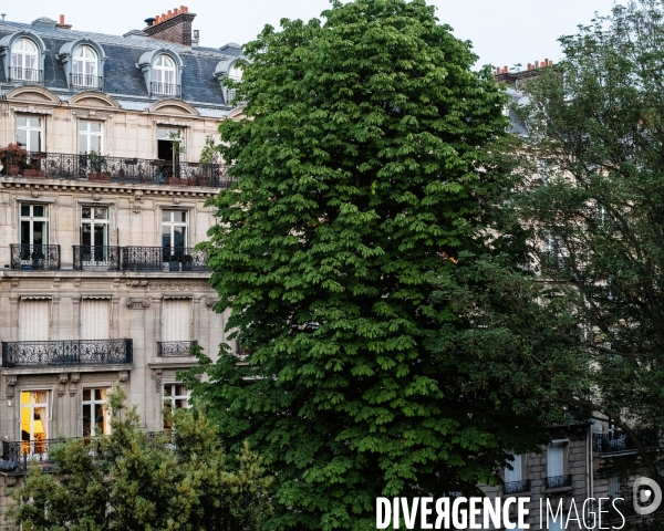 Paris du Palais Galliera