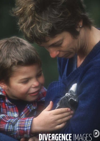 L enfant et les animaux : chat. Children and animals : cats.